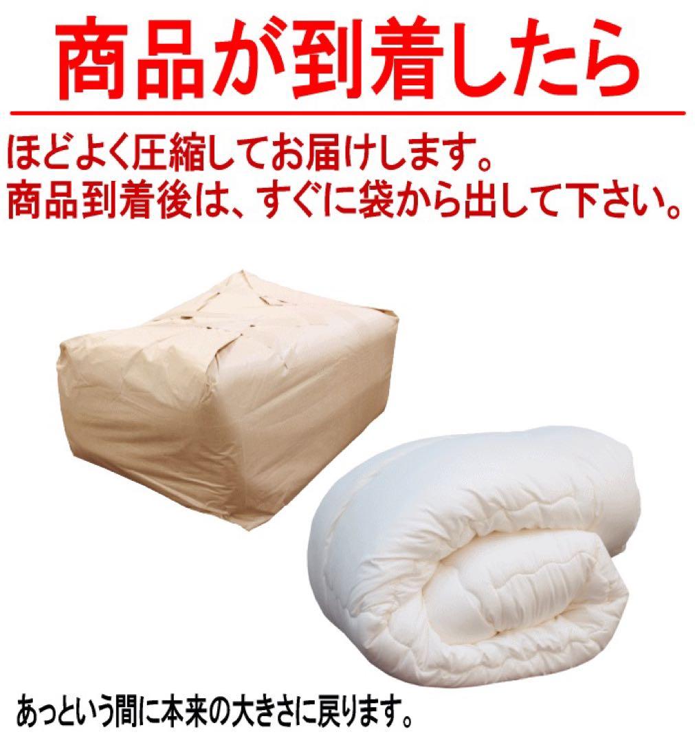 掛け布団 クイーン ダクロン フレッシュ 洗える 掛布団 耐洗濯性 日本製