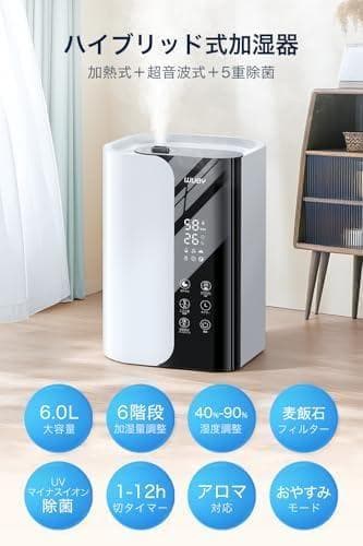 加湿器 大容量 6L 【2026年新モデル・5重除菌・加熱式】 超音波式 加po