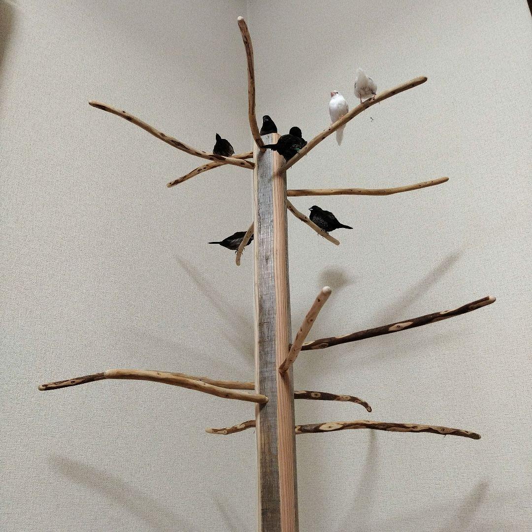 【小鳥〜中型鳥さん用】眺めのいい♬ゆったりバードスタンド