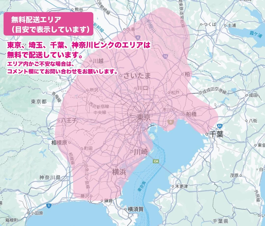 [PANASONIC] 22インチ子供のせ電動アシスト自転車ギュット2599