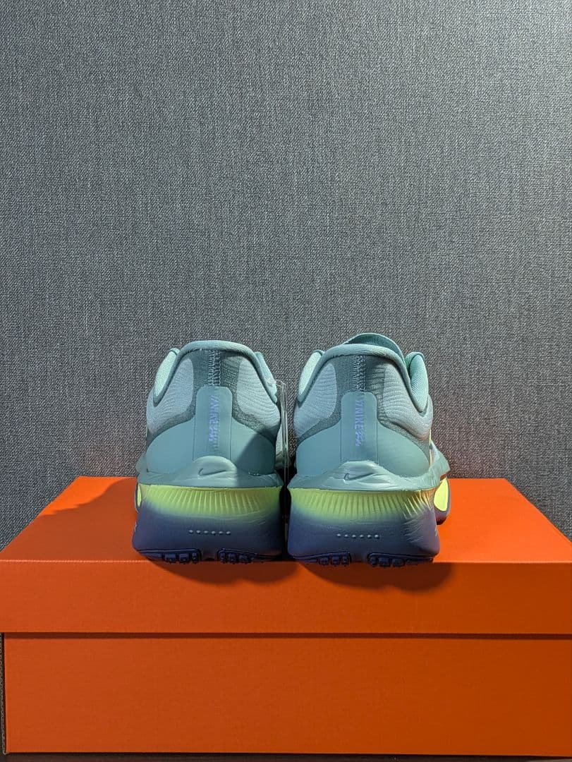 新品　未使用　タグ付　NIKE ZOOM FLY6　26.5cm
