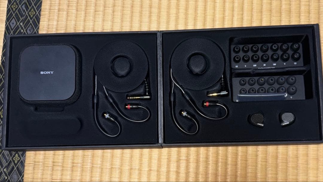 ほぼ新品 SONY IER-M9 保証書付き