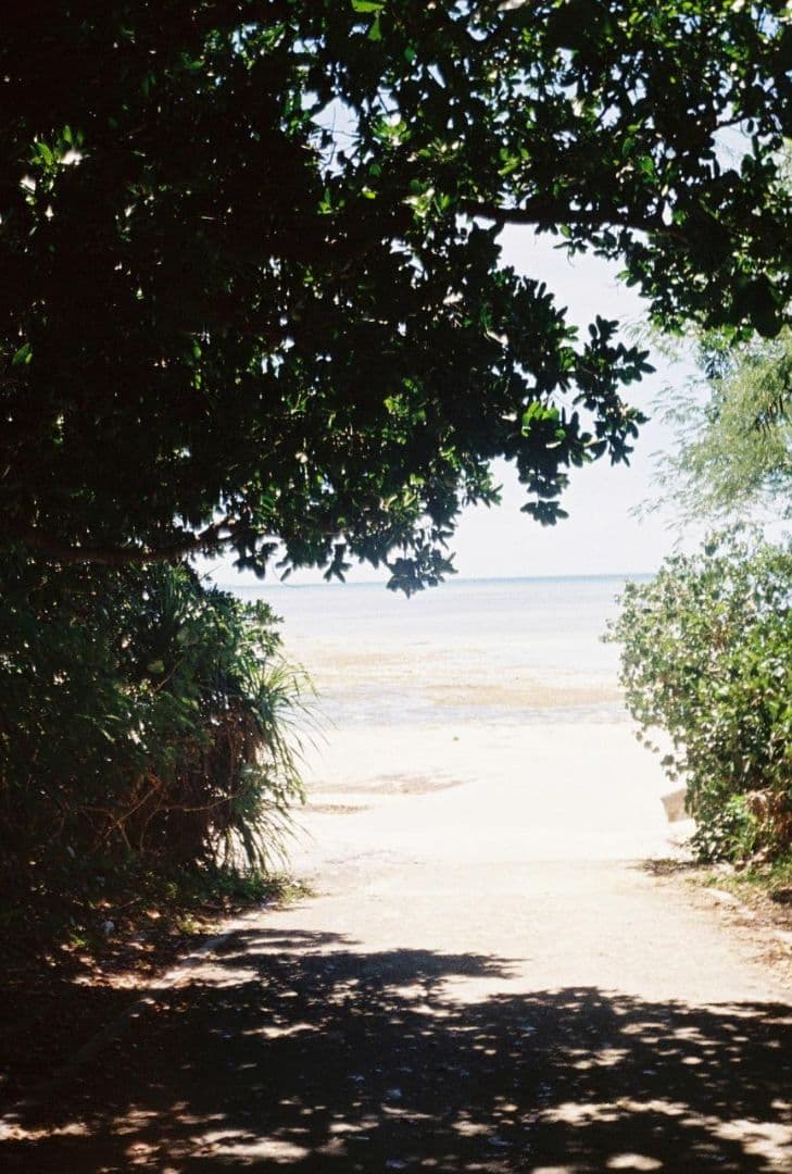 OLYMPUS PEN EED フィルムハーフカメラ