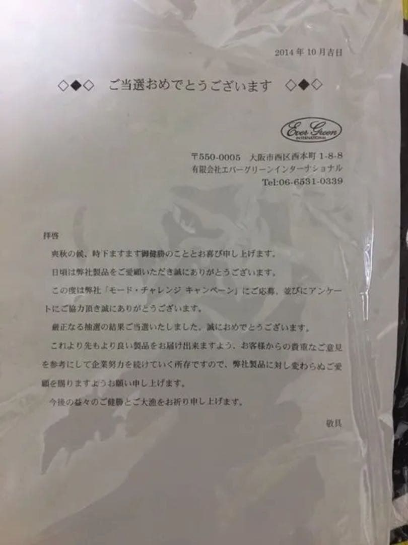 激レア　エバーグリーン トーナメントTシャツ‼️