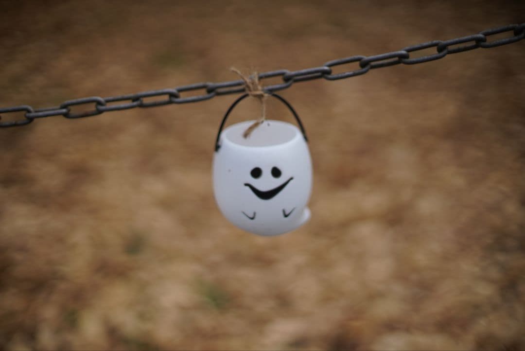 【動作確認済】Nikon NIKKOR-S.C 50mm f1.4 純正付属品付