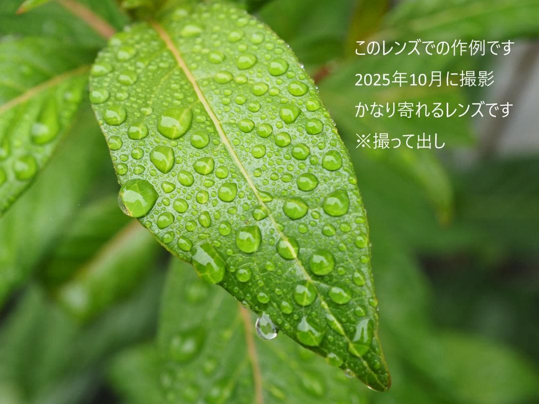 美品 OM SYSTEM M.ZUIKO 12-45mm F4.0 PRO