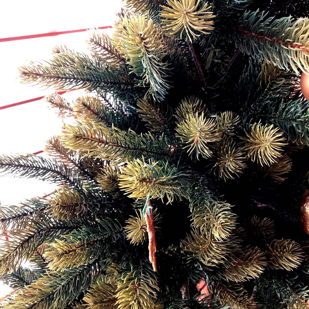 シュヴァルツヴァルトクリスマスツリー １２０cm