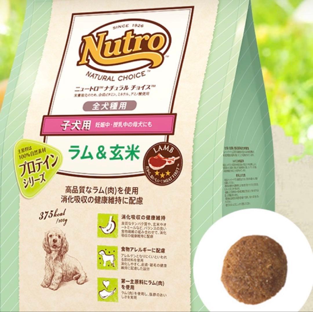 Nutro 子犬用 ラム & 玄米 17kg
