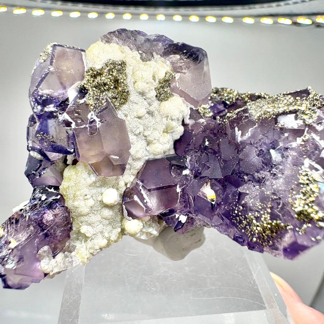 563 中国 内モンゴル産 フローライト&パイライト