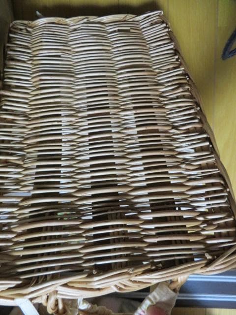 レア　マニー　ローズ　トレー