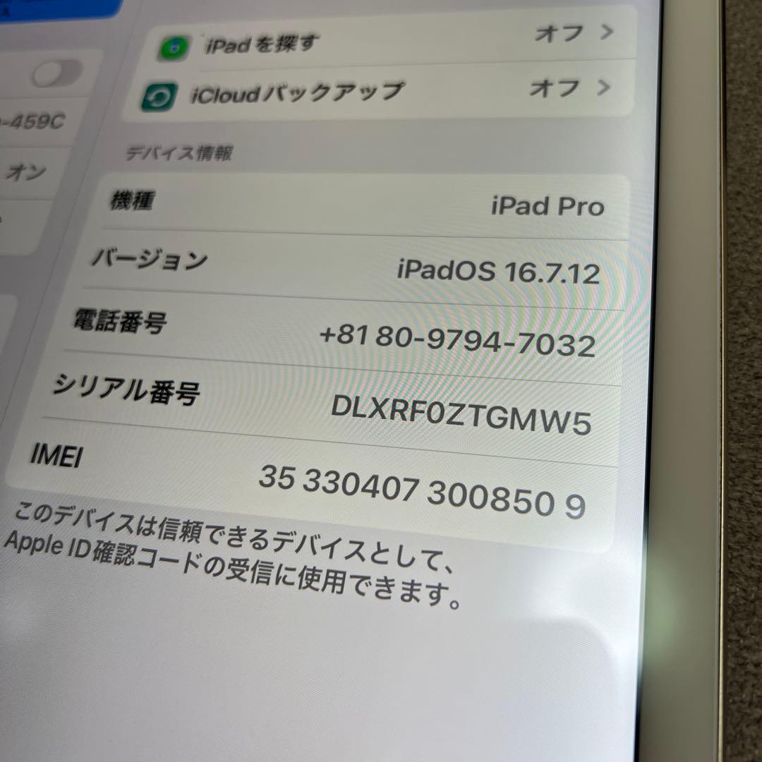 状態良好 iPadPro 128GB 12.9インチ WiFi+Cellular