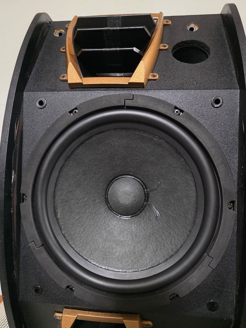 Karaoke スピーカーCLASSIC PRO KT200BR　ペア