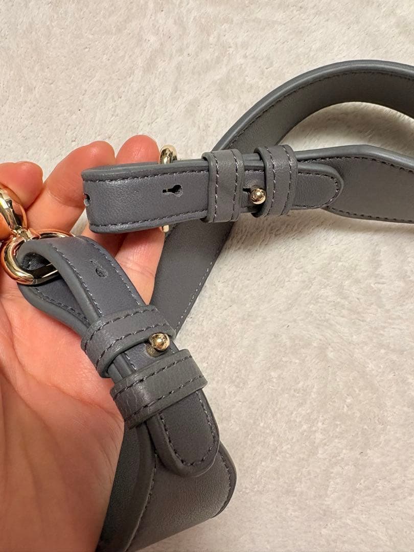 dior 鞄ベルト