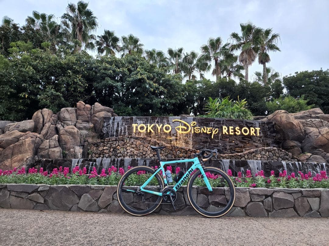 ビアンキ スプリント フレームのみ