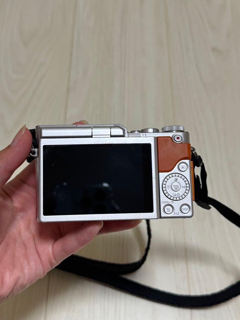 Panasonic LUMIX DC-GF9W ダブルレンズキット