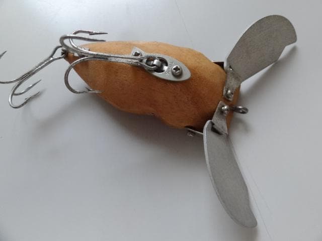 Frog　フロッグ　ガンディーニ　プロト