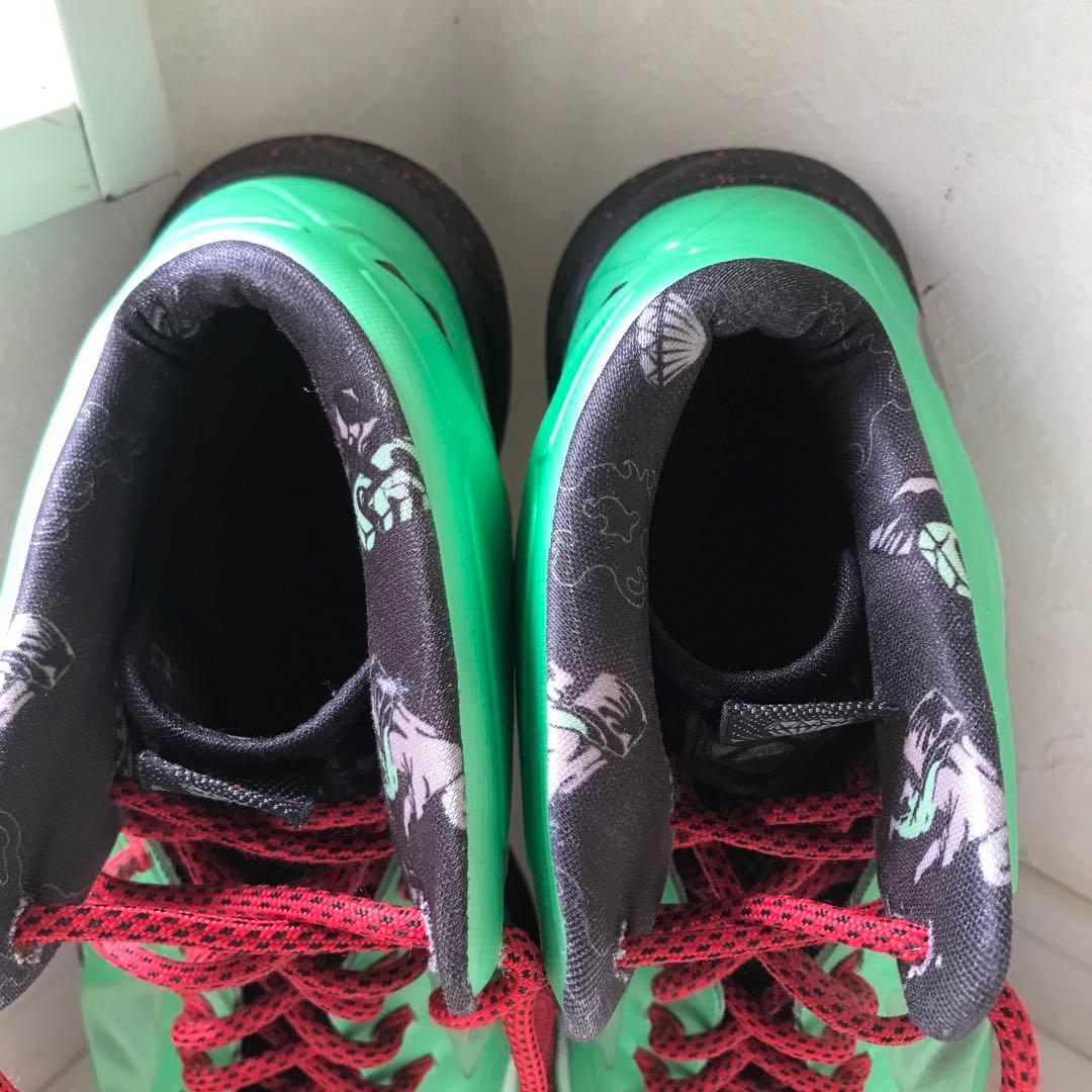 NIKE ナイキ28.5㎝　US10.5 レブロン10 中国限定モデル