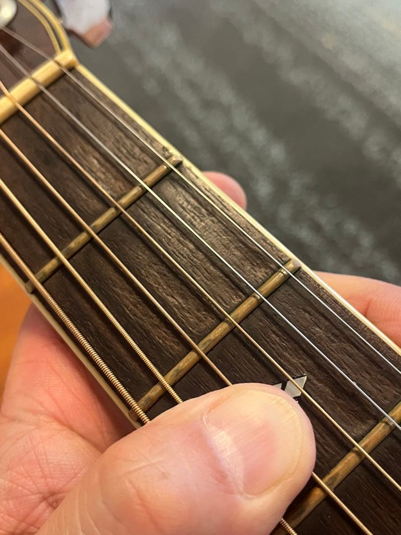 MORRIS Special 60 ハカランダサイドバック