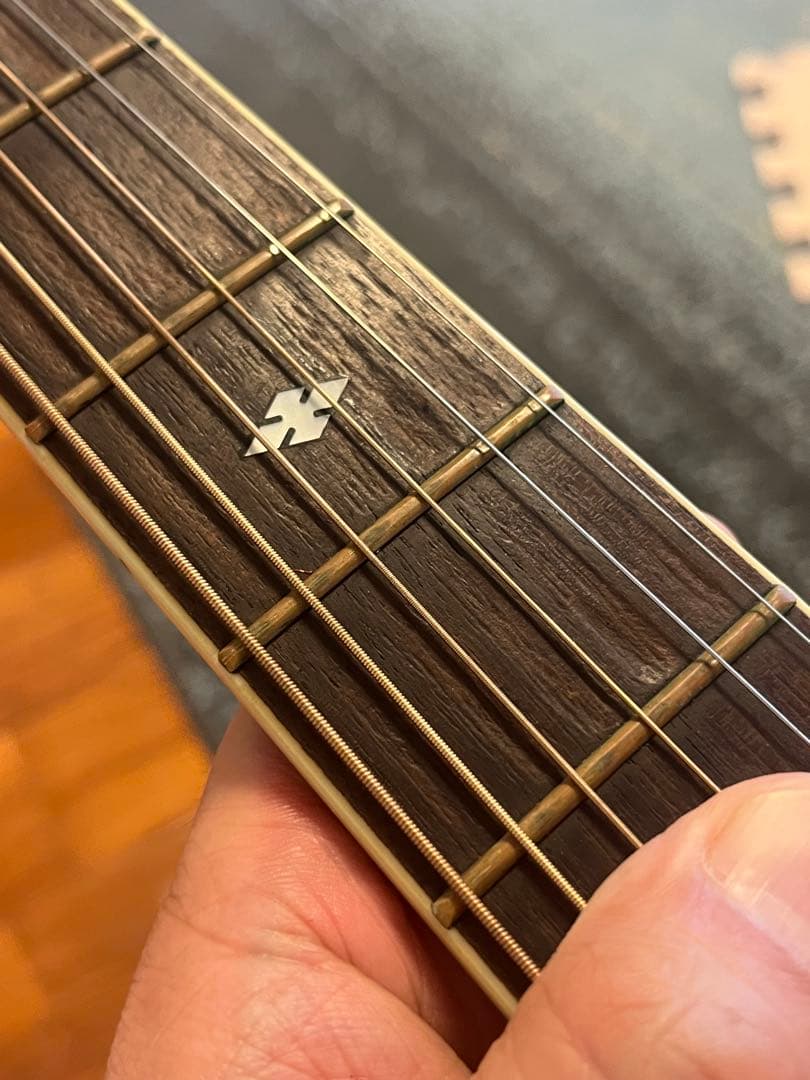 MORRIS Special 60 ハカランダサイドバック