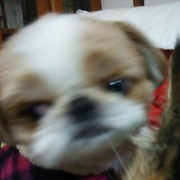 kei shop  様     確認用