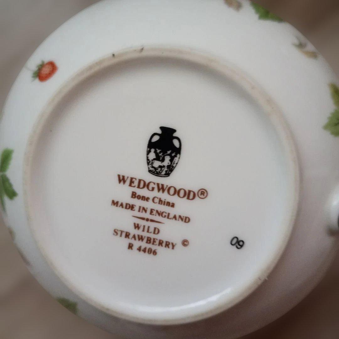  ワイルドストロベリー　セット