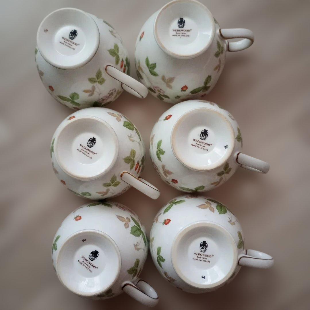  ワイルドストロベリー　セット