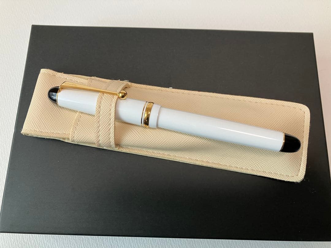 【2018年限定色】pilot 万年筆 custom74 細字⭐︎おまけ付き