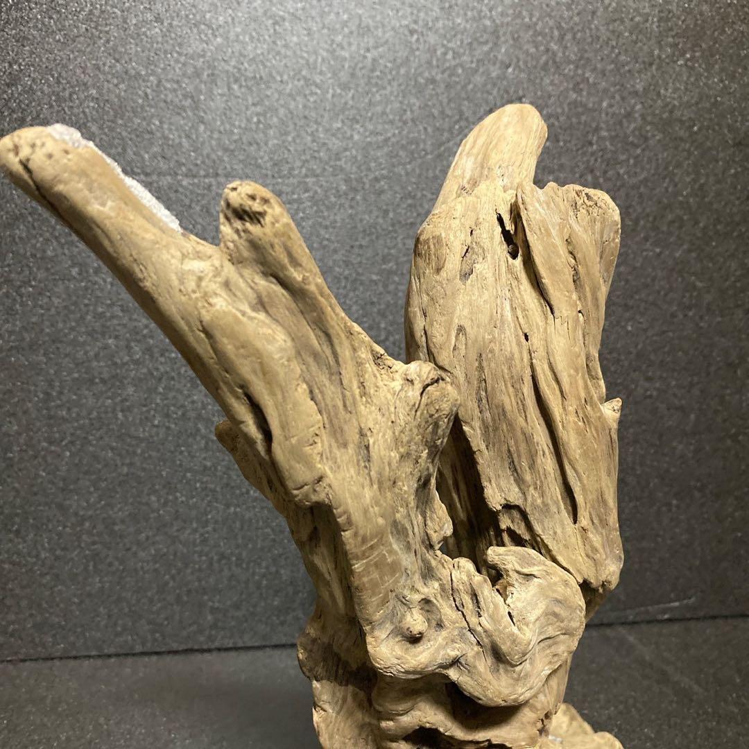 流木アート 一点もの インテリア アクアリウム