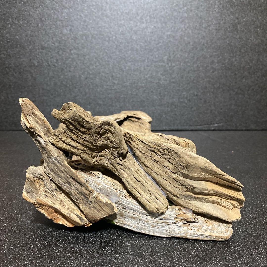 流木アート 一点もの インテリア アクアリウム