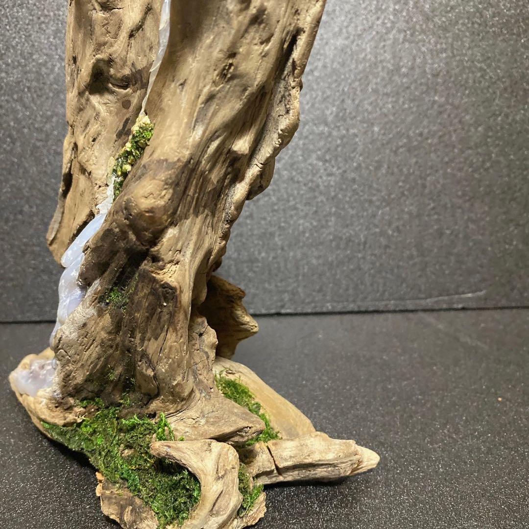 流木アート 一点もの インテリア アクアリウム