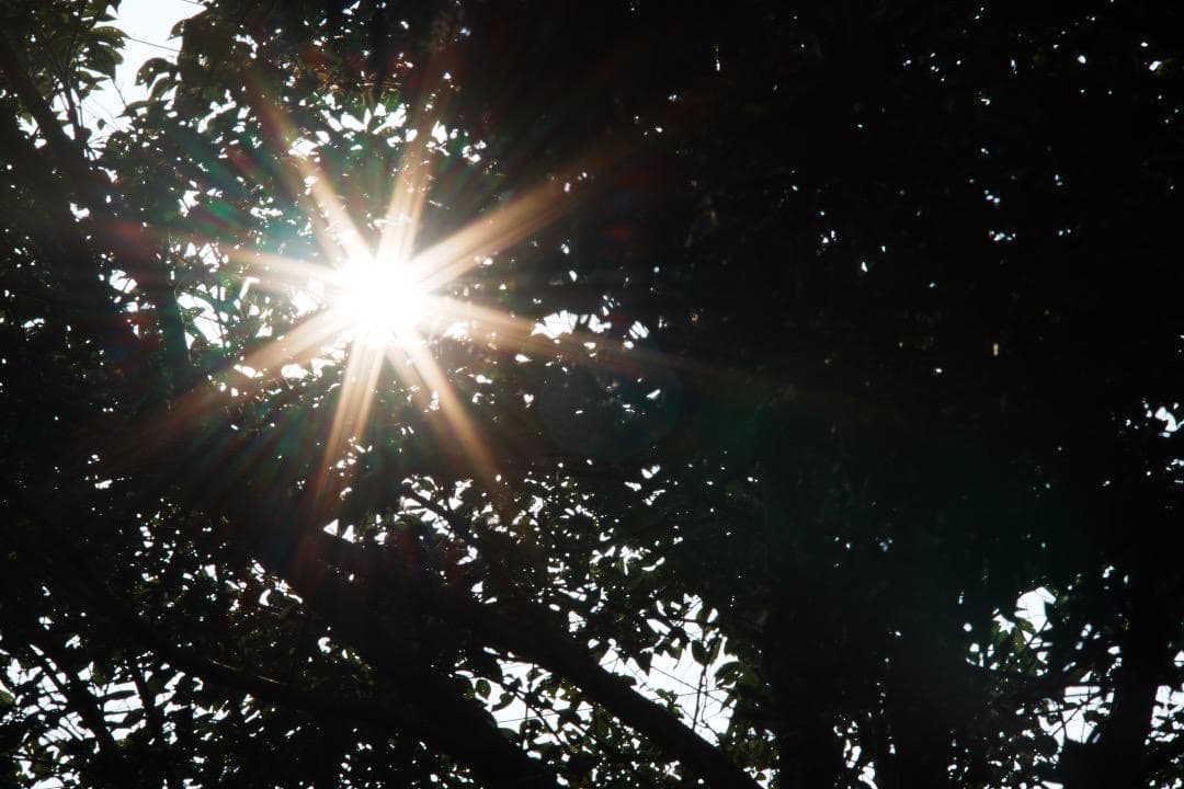 【整備＆テスト済】SMC PENTAX 135mm F2.5 381