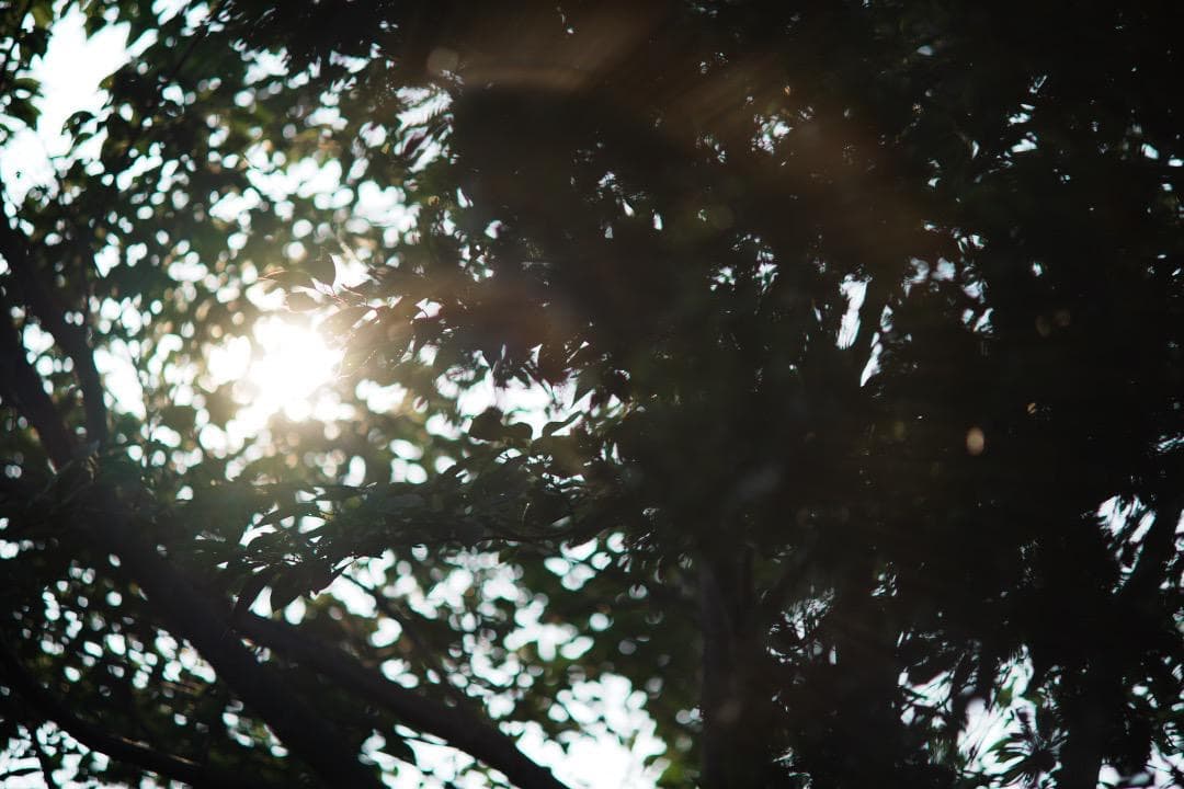 【整備＆テスト済】SMC PENTAX 135mm F2.5 381