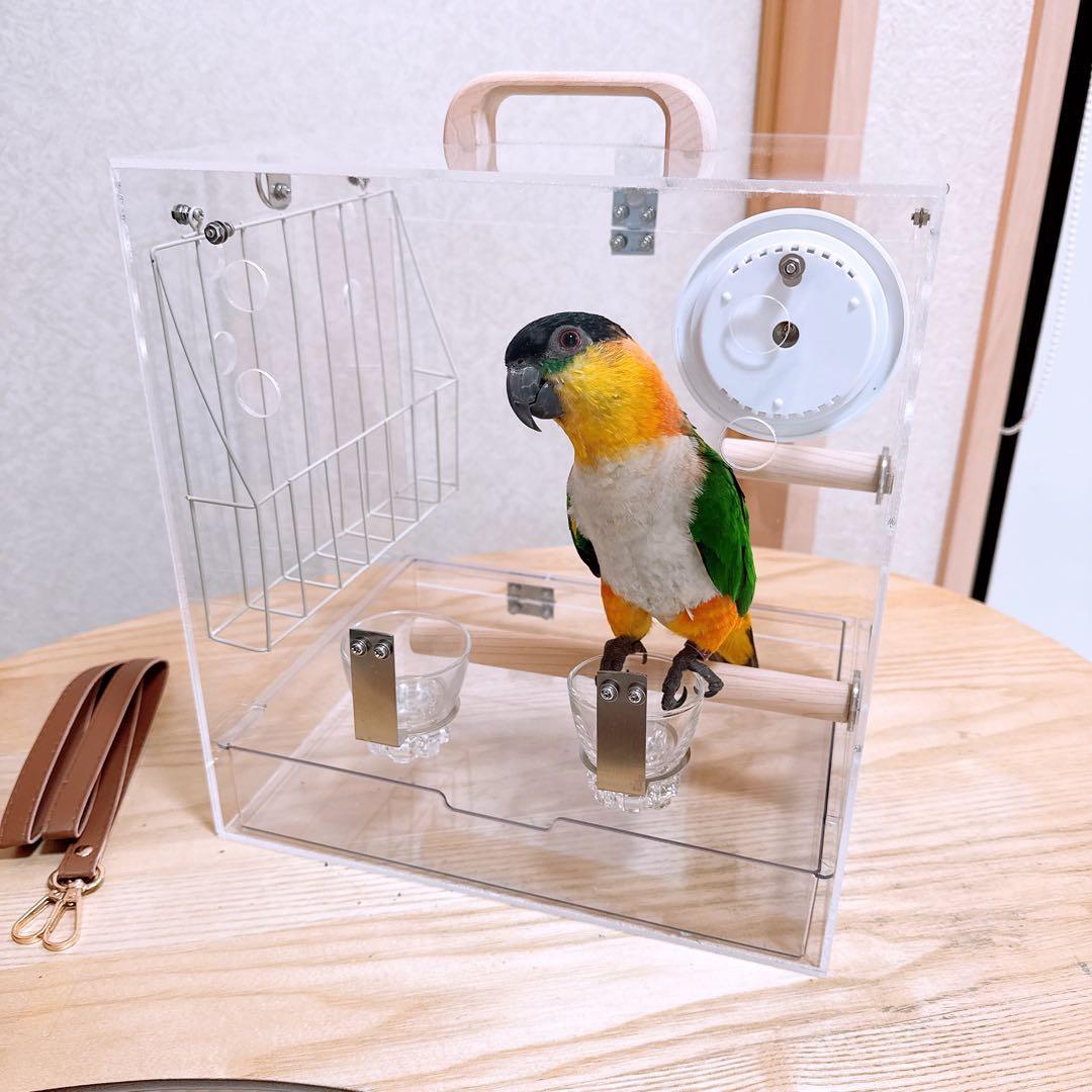 【専用ページ】そるたん様　アクリルケージ　キャリーケース