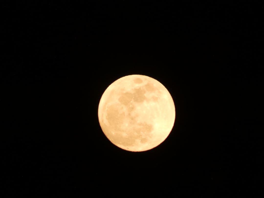 Panasonic LUMIX DC-FZ85D デジタルカメラ