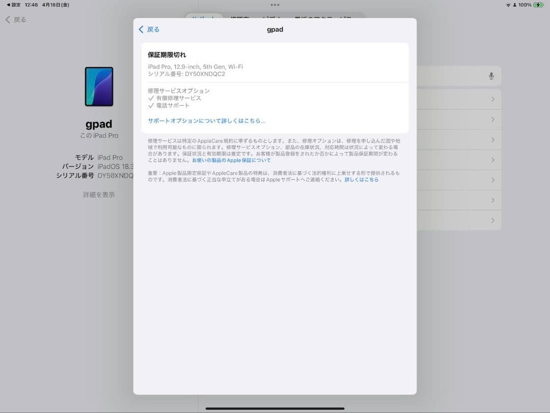 iPad Pro 12.9 第5世代（M1） 256gb