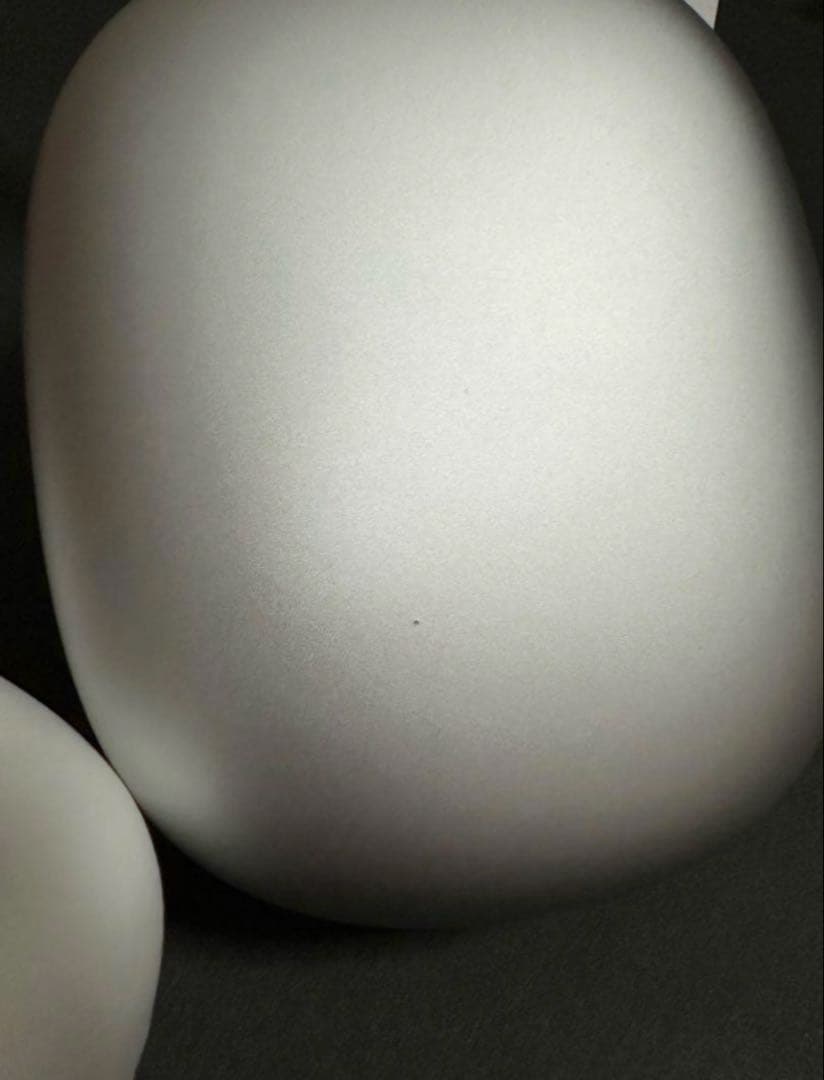 イルカAirPods Max