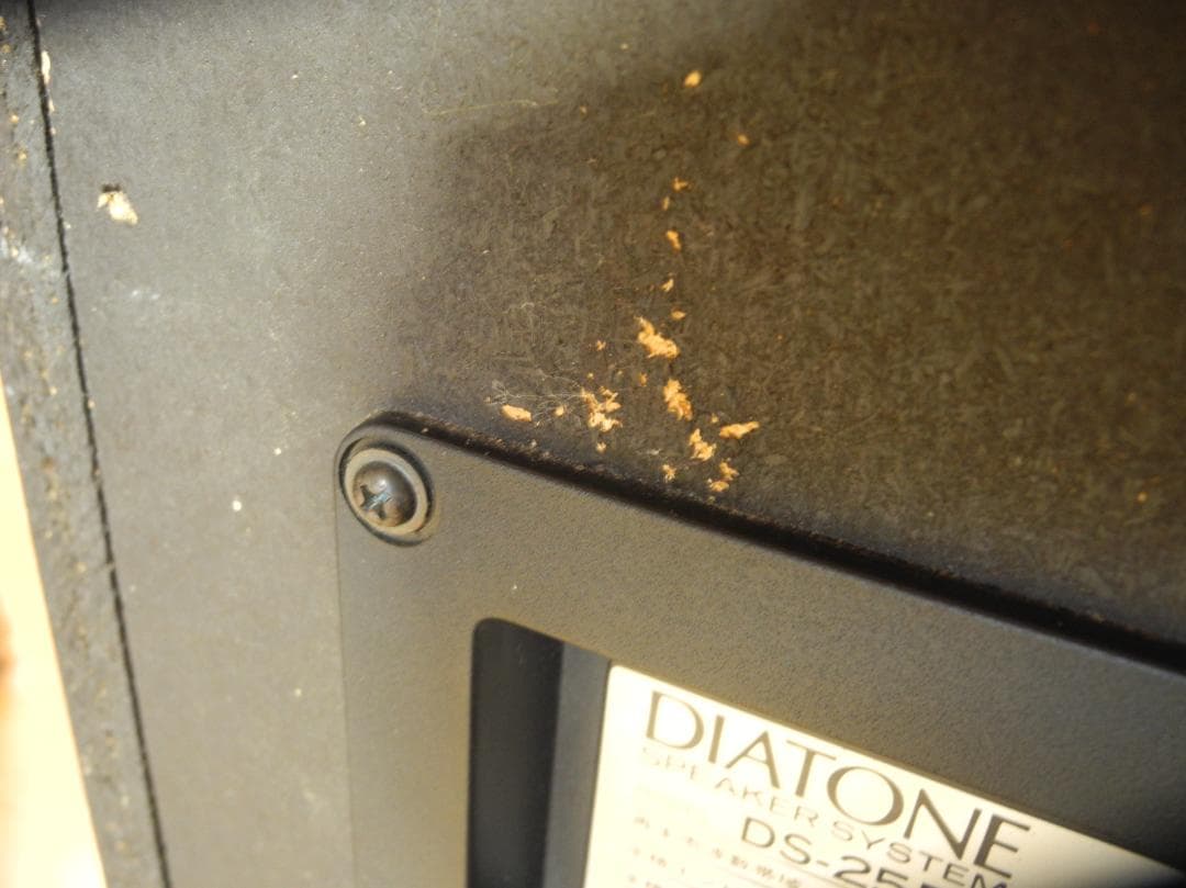 DIATONE 　ダイアトーン　DS-25BMKII