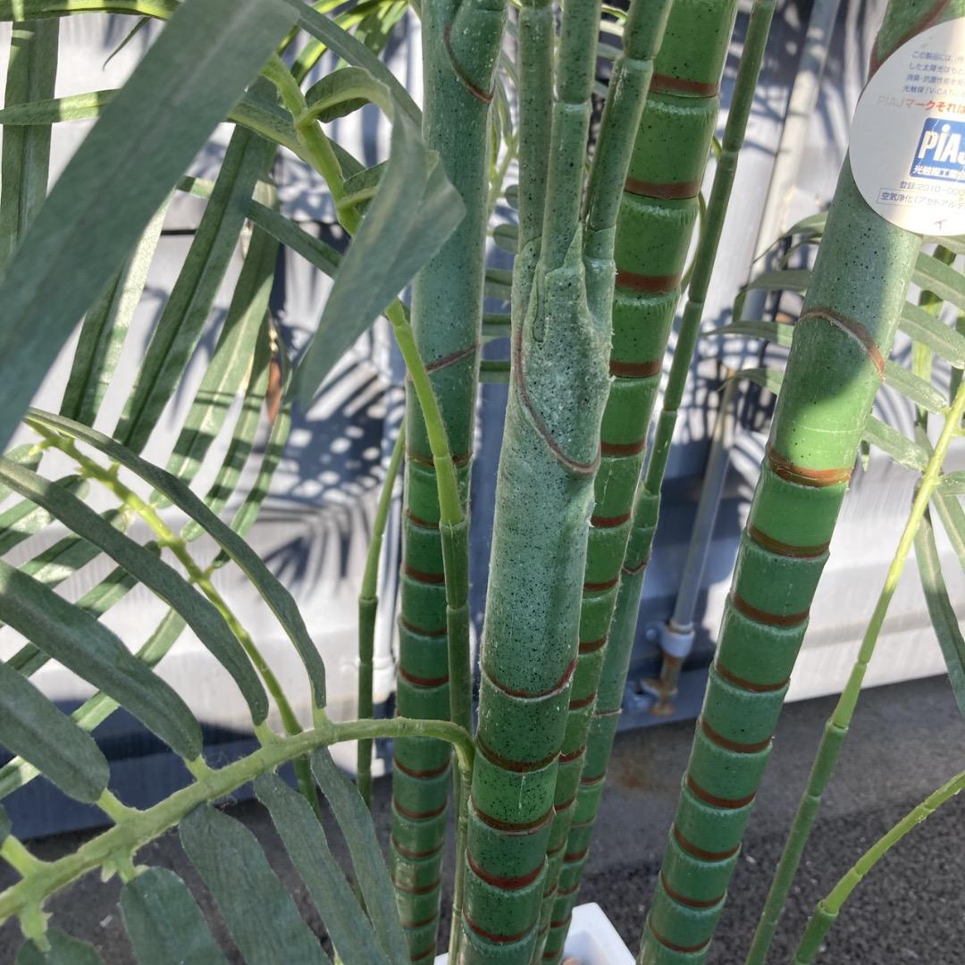 【お値下げOK】大型フェイクグリーン 光触媒人工植物 光の楽園 高さ約260cm