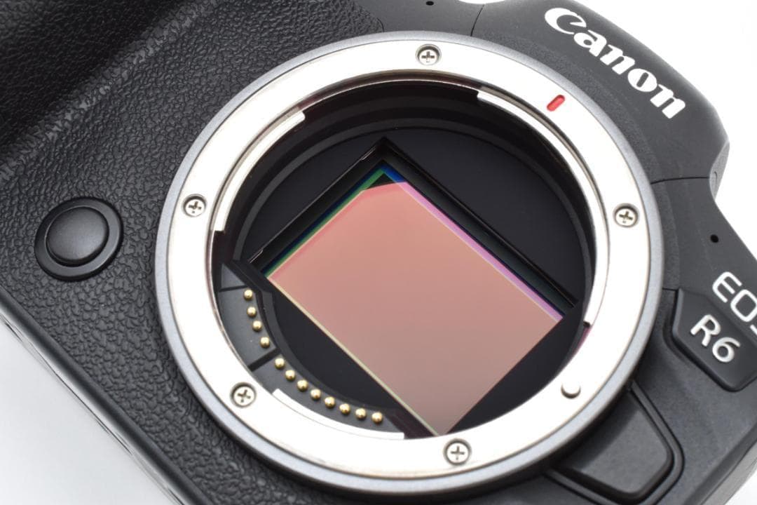 ★美品★ Canon EOS R6 キヤノン フルサイズ ミラーレス一眼カメラ