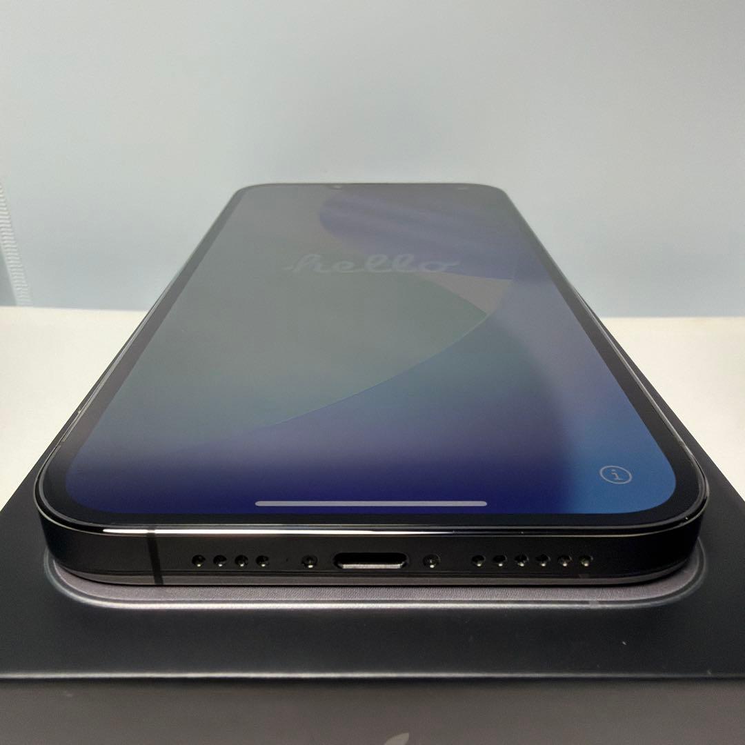 Apple iPhone 13 pro max 256GB （おまけ付き）