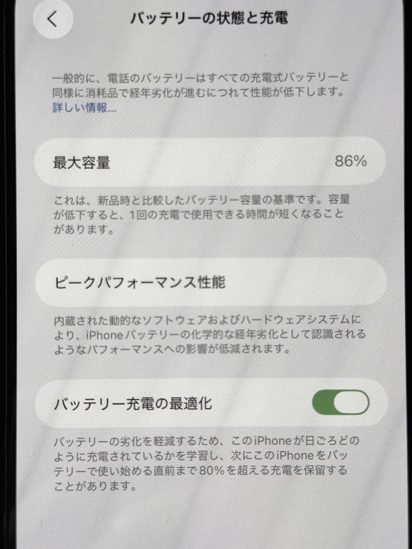 Apple iPhone 13 pro max 256GB （おまけ付き）