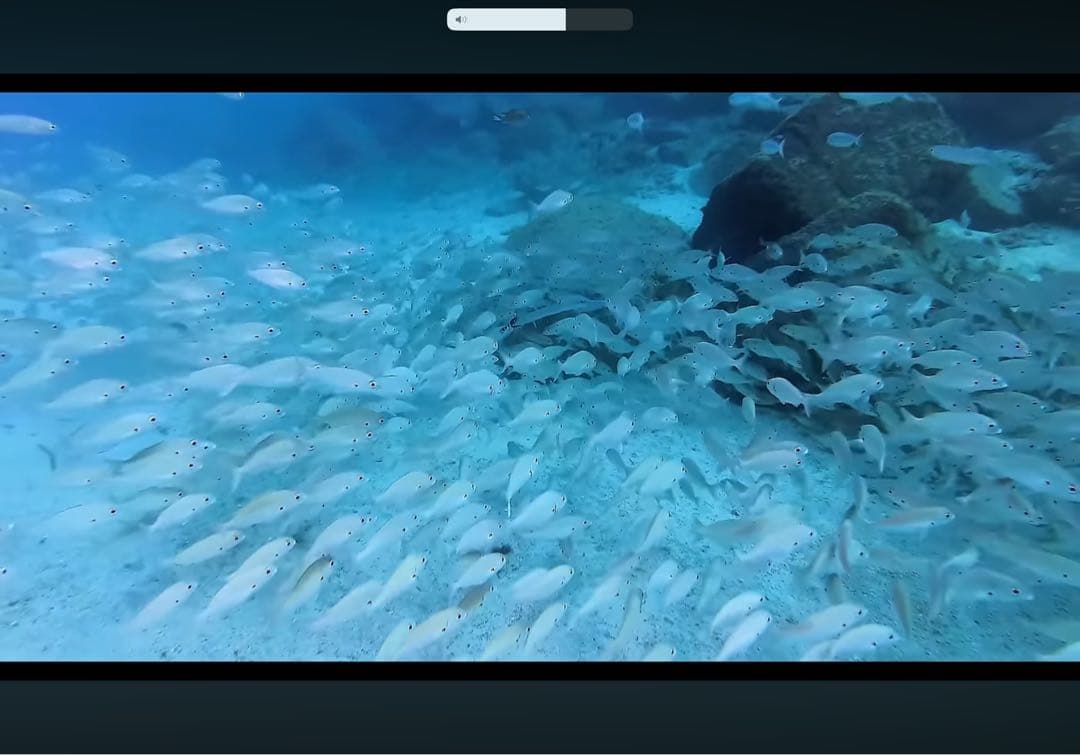 iPad Pro 11インチ 第2世代 バッテリー92% 良い