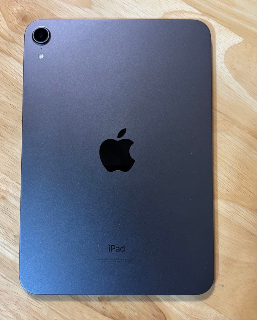 ひ*読様 Apple iPad mini (第6世代) スペースグレー 256G