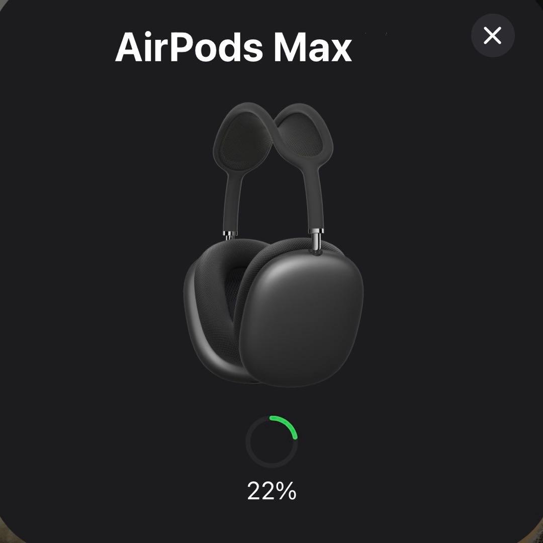 ヘッドホン Apple AirPods Max Lightning