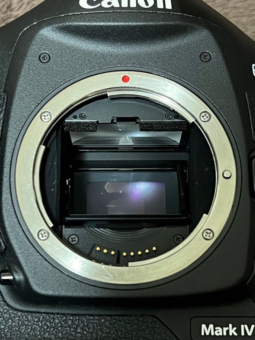 【バッテリー2個付き】Canon EOS-1D Mark IV