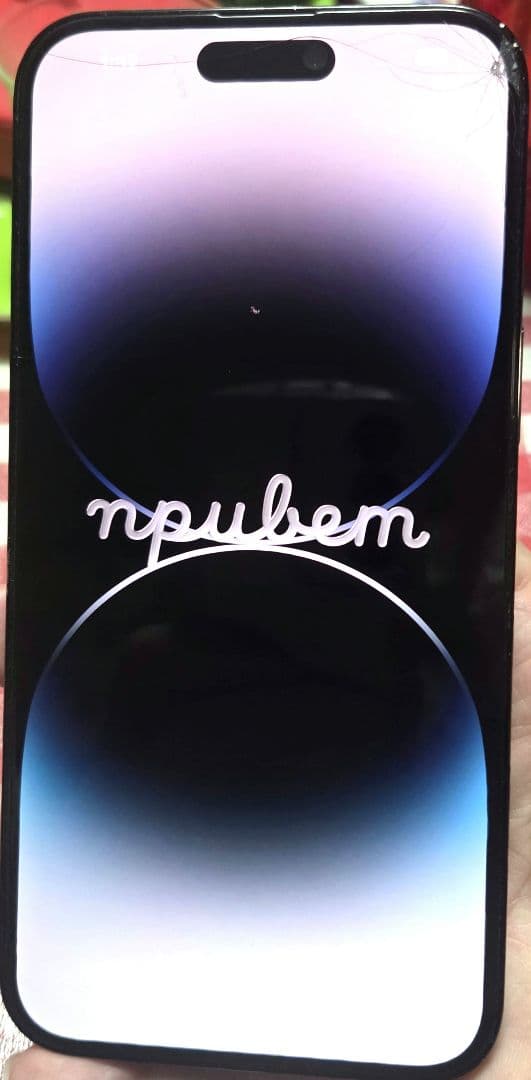 2025.2購入 Apple iPhone 14 Pro Max 128GB 黒